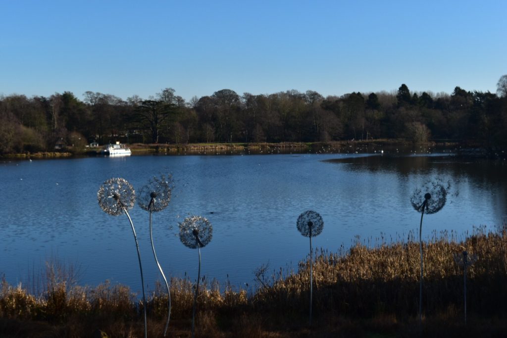 Trentham Estate and Trentham lake, a family friendly day out in Staffordshire
