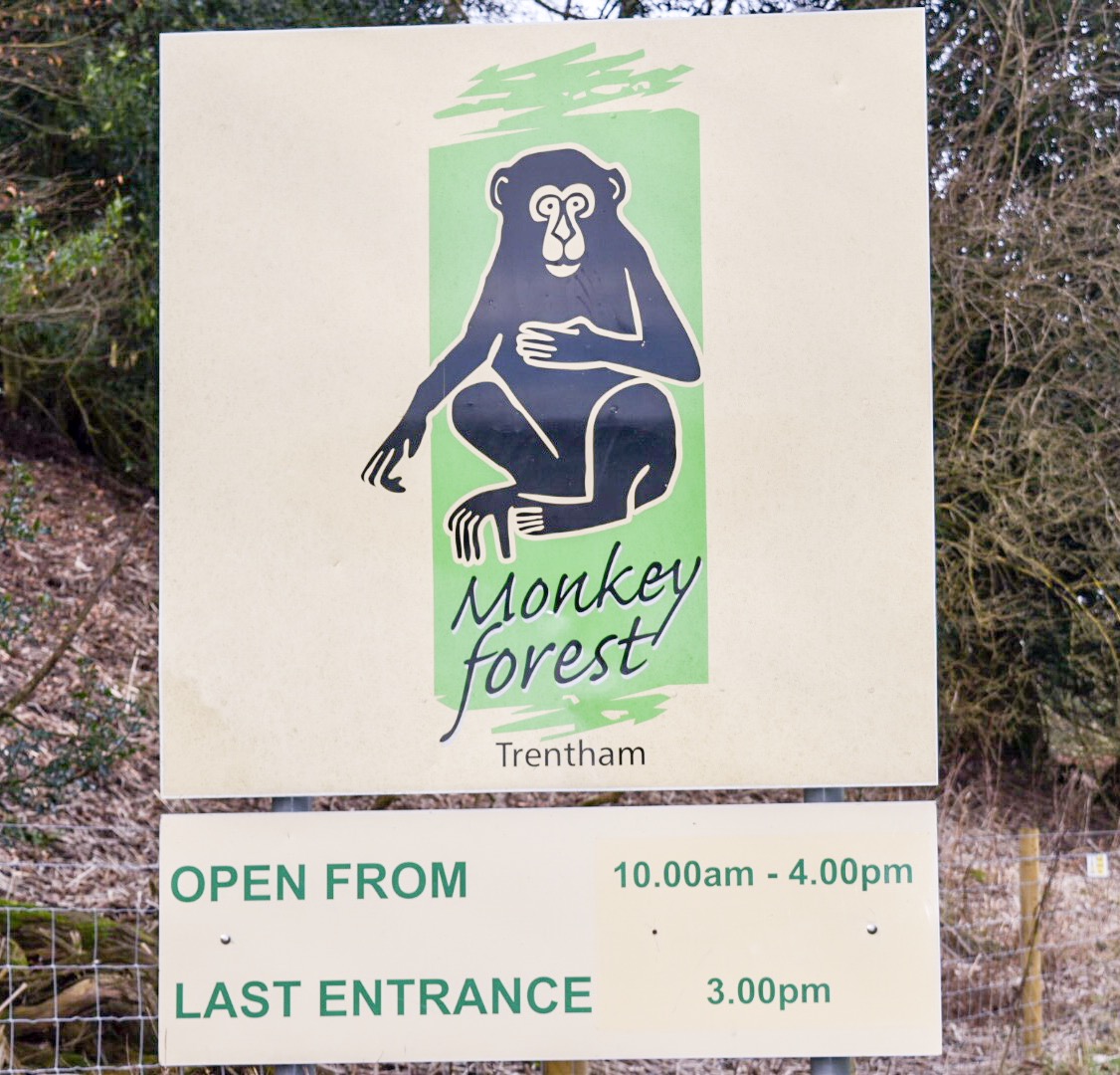 Trentham Monkey Forest review