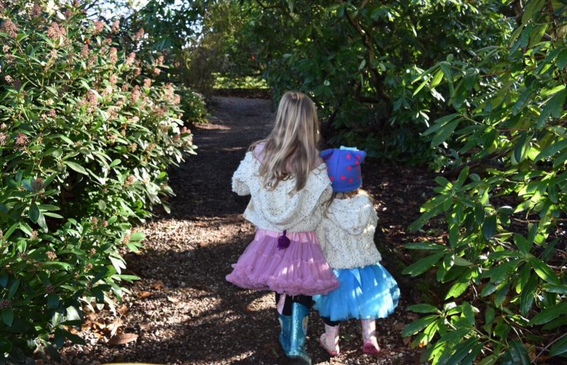 Family Day Out -Sunshine and Snowdrops on a Saturday – Rode Hall & Gardens, Cheshire