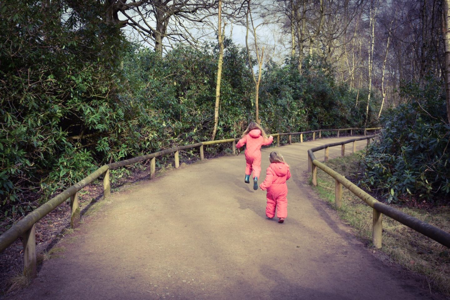 Trentham Monkey Forest review