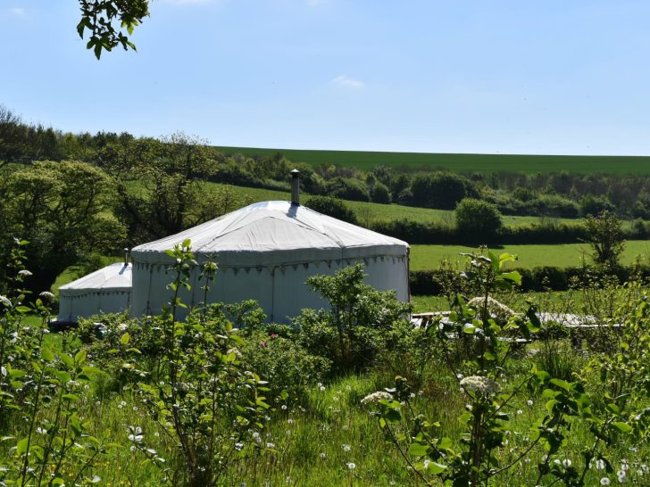 Dorset glamping : A stay in a yurt at Green Valley Yurts