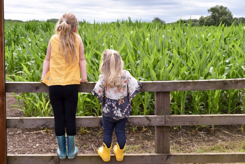 National Forest Adventure Farm