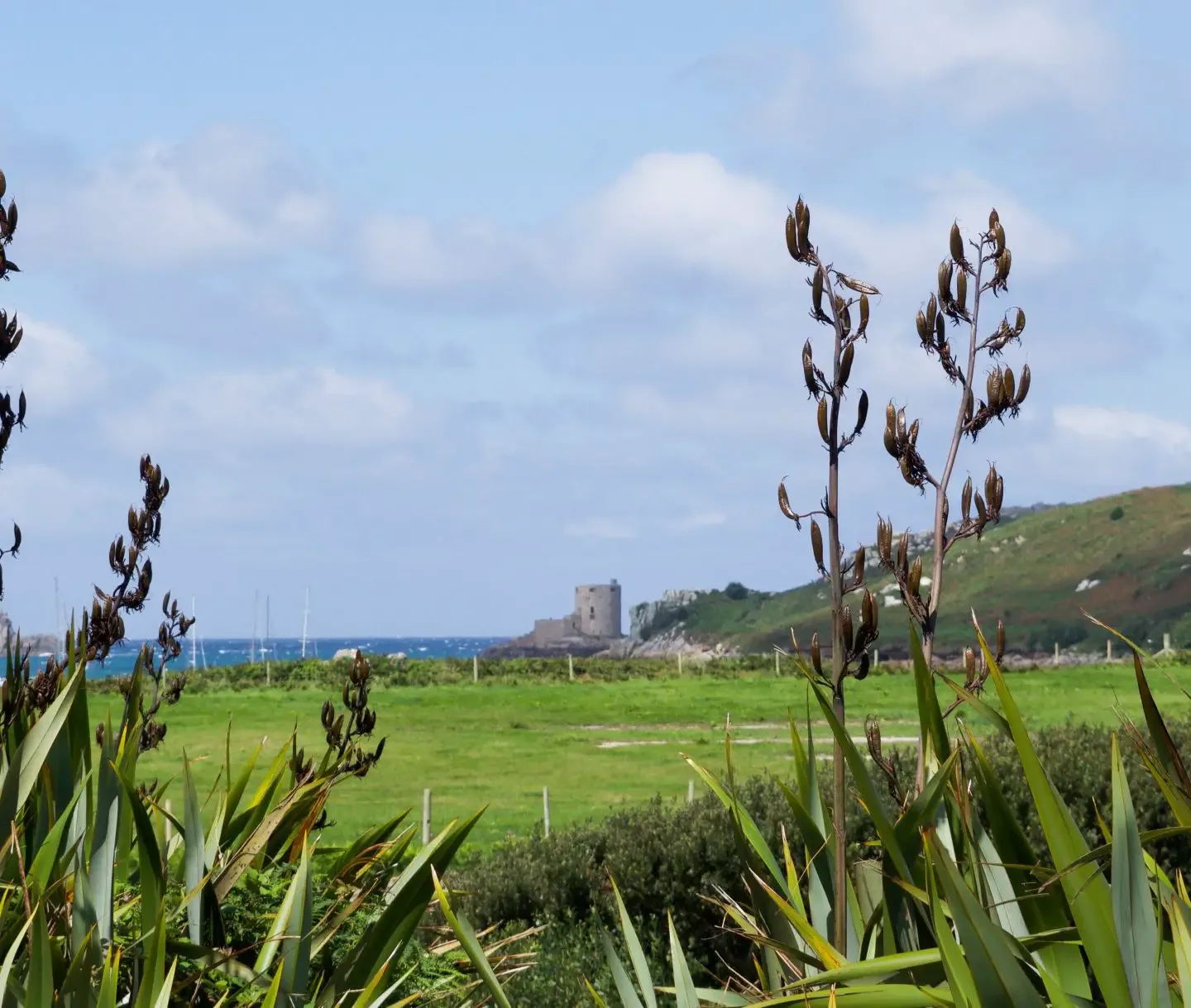 reasons to visit Isles of Scilly including beaches, views and incredible food