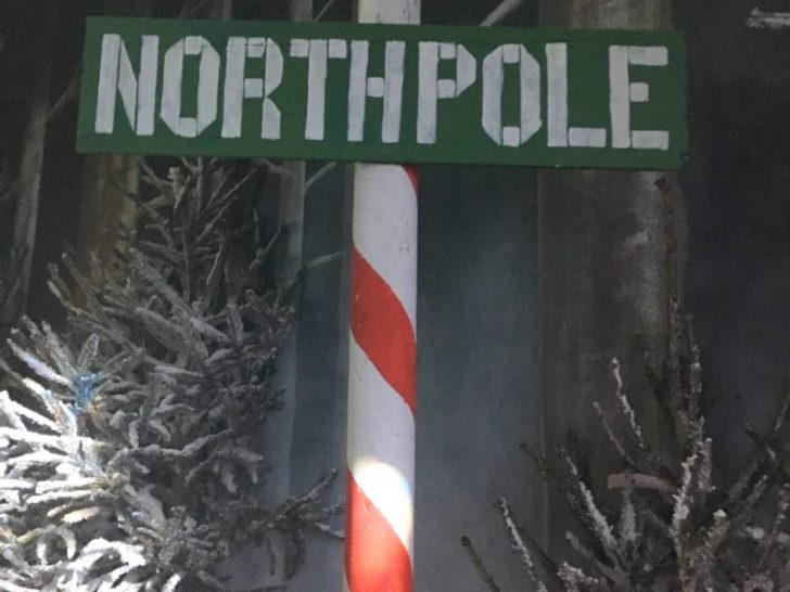 National Forest Adventure Farm: North Pole Adventure review