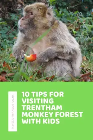 10 tips for visiting Trentham Monkey Forest with kids