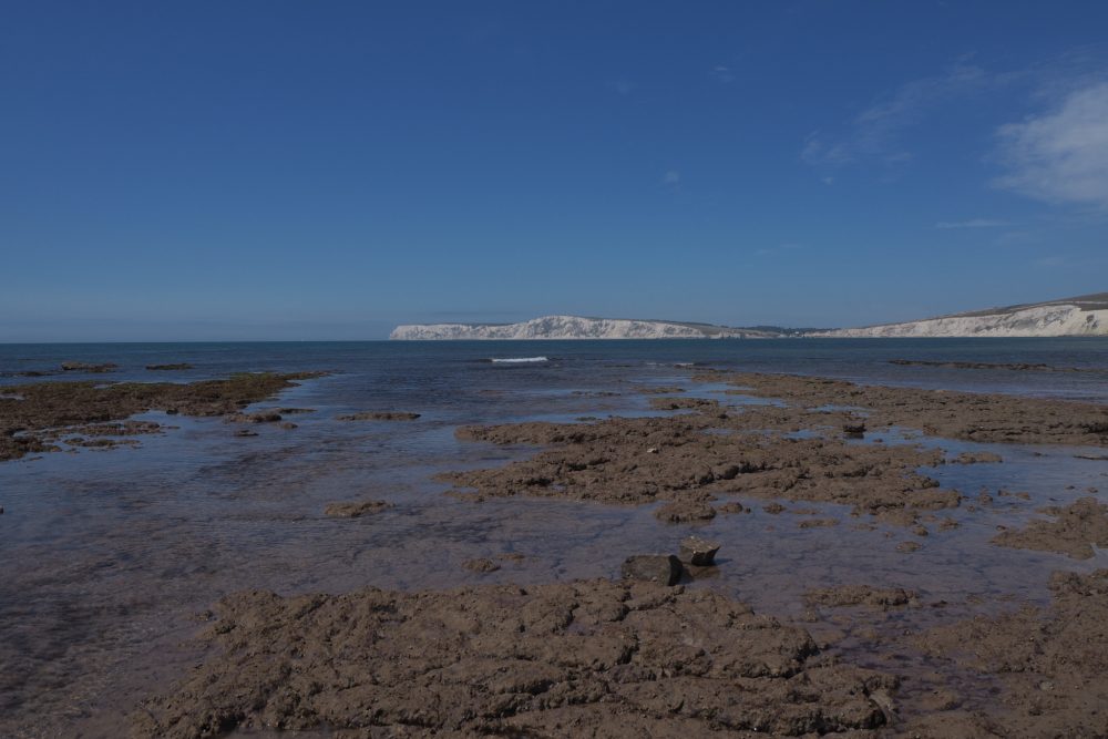 Where to find dinosaur footprints on the Isle of Wight