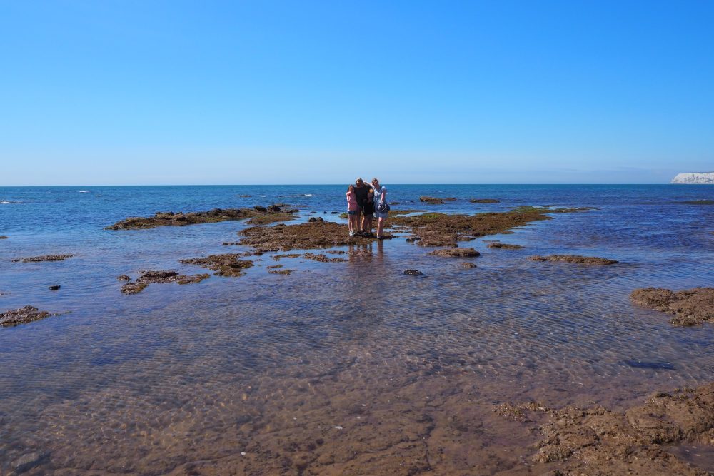 search for dinosaur footprints on the Isle of Wight