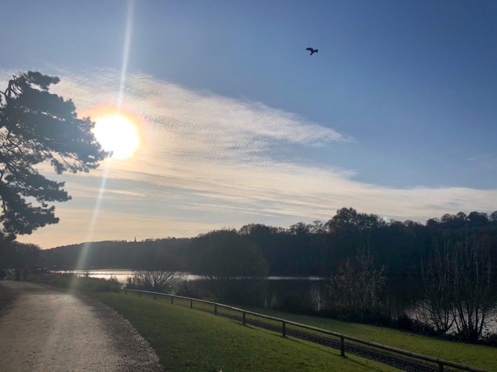 Walking around the Trentham Lake with kids is  a lovely family day out in Staffordshire