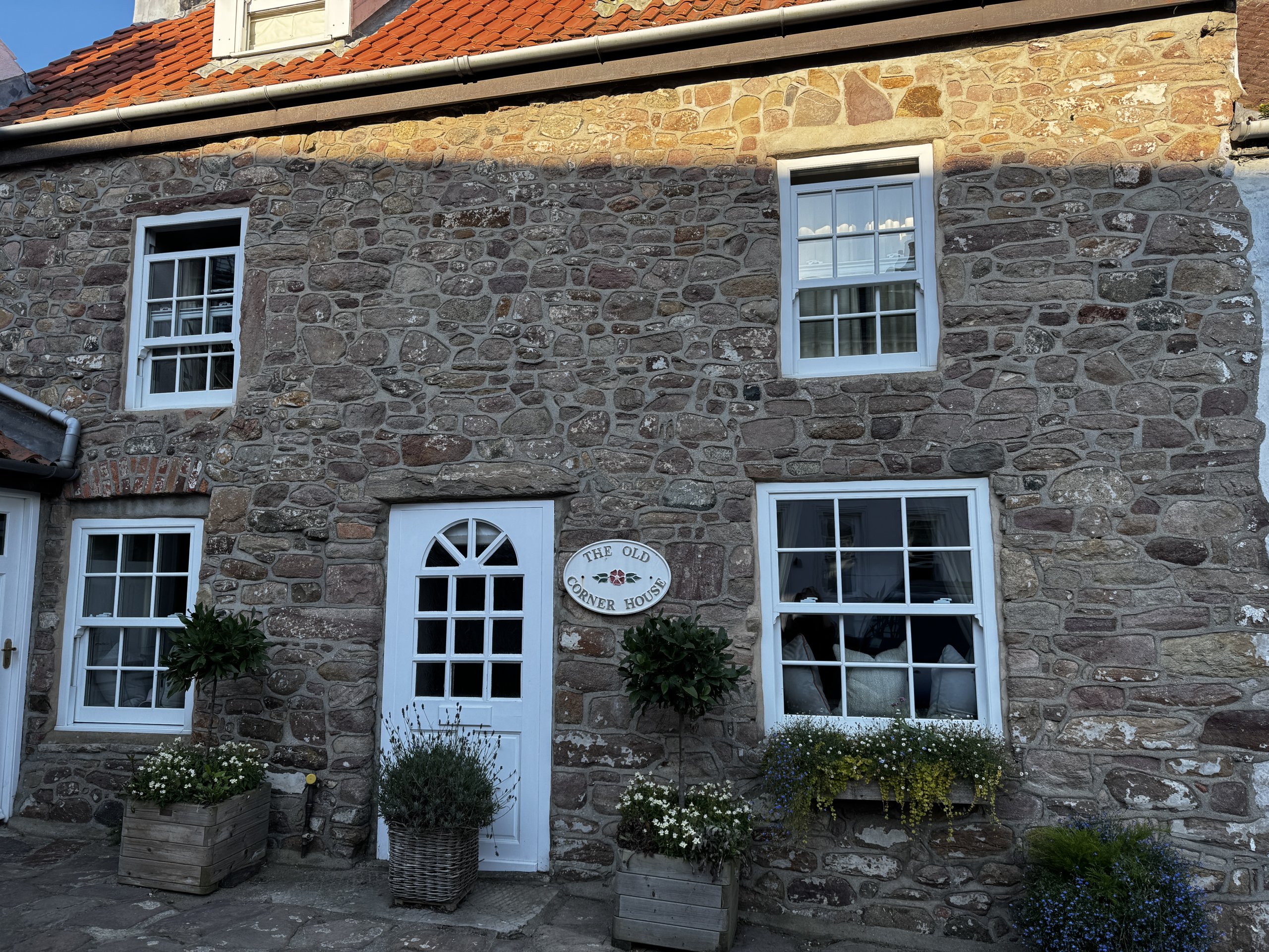 The Blonde Hedgehog Hotel review